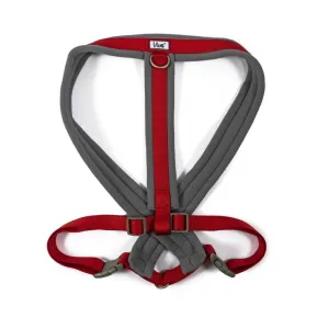 Ancol Viva XX-Large Red Padded Dog Harness